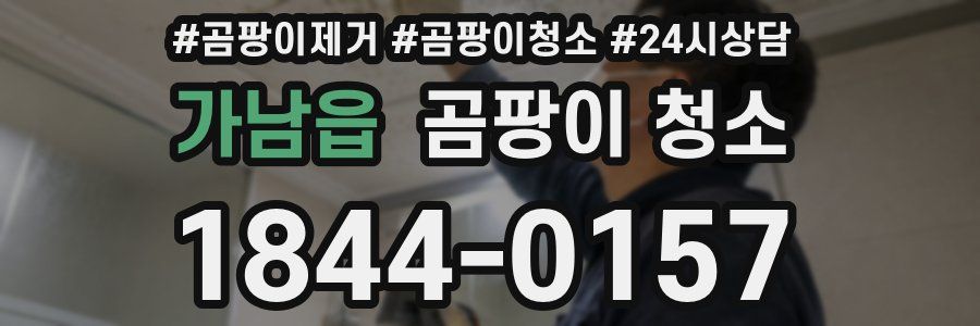 가남읍 곰팡이 청소