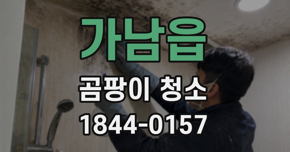 가남읍 곰팡이 청소