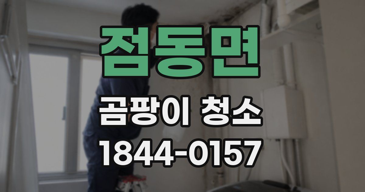 점동면 곰팡이 청소