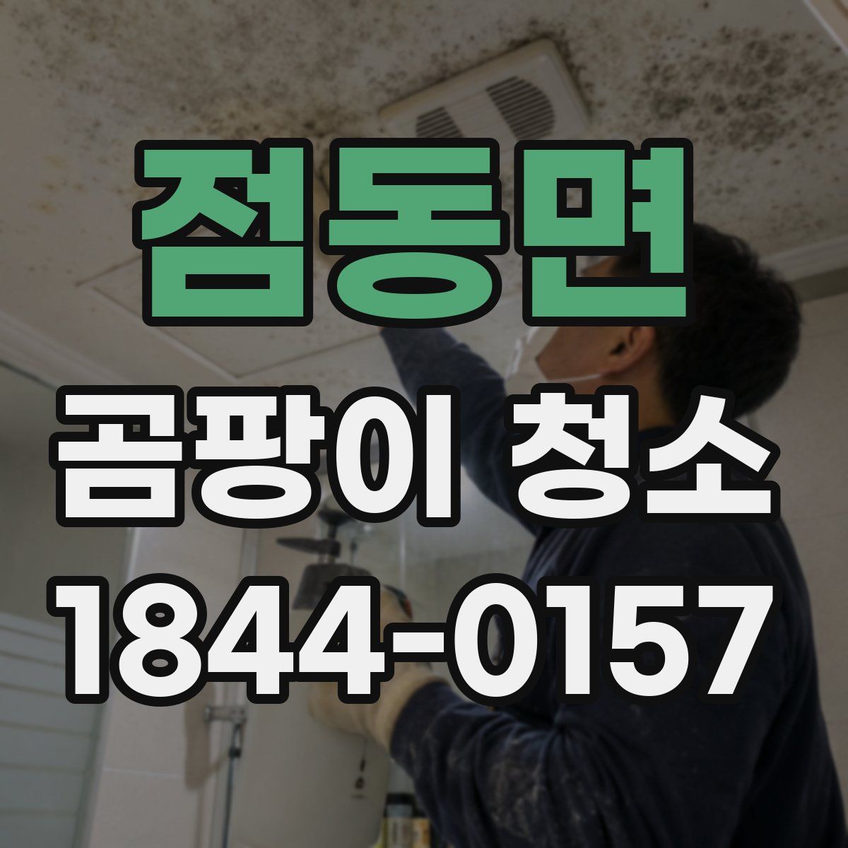 점동면 곰팡이 청소