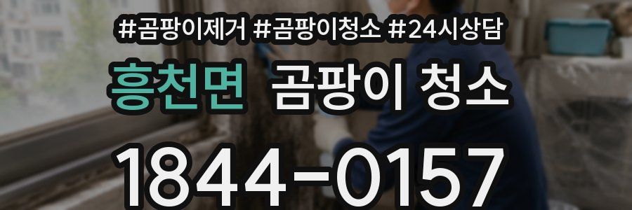 흥천면 곰팡이 청소