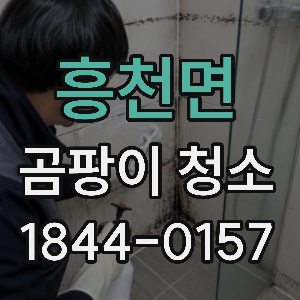 흥천면 곰팡이 청소