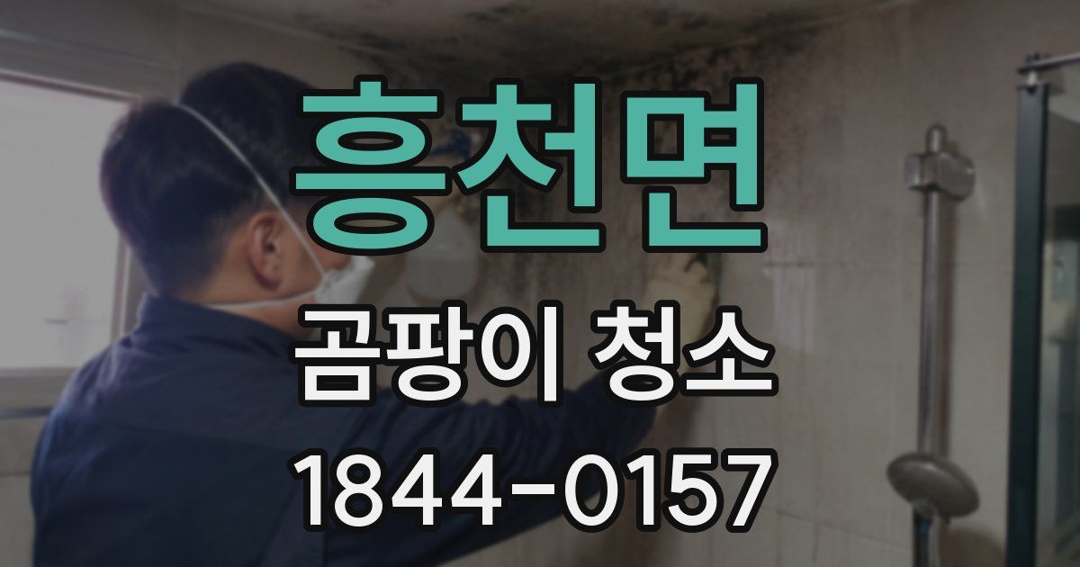 흥천면 곰팡이 청소