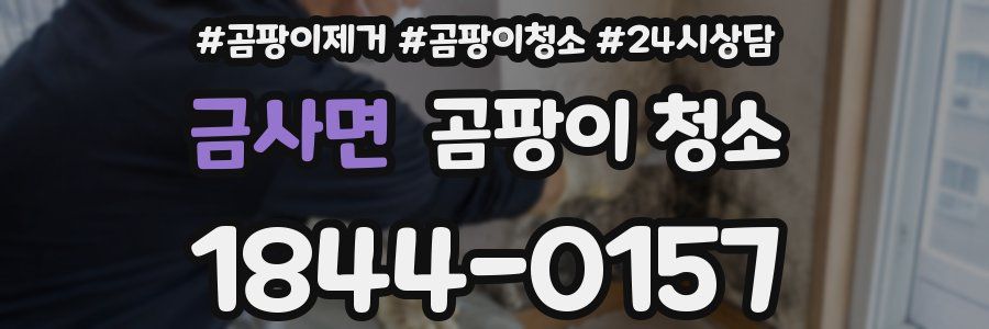 금사면 곰팡이 청소