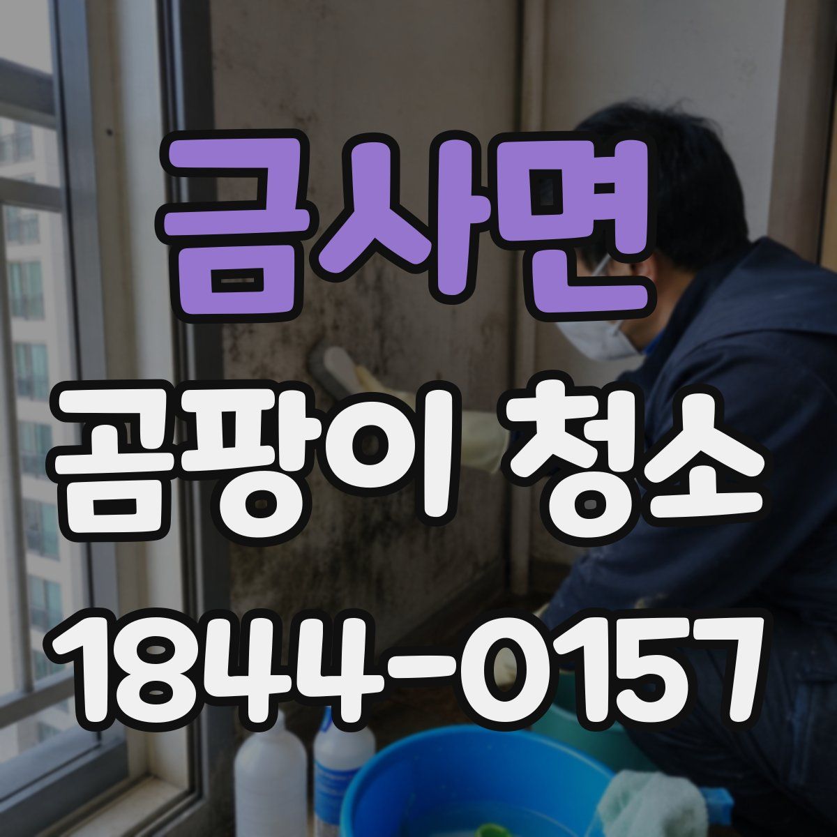 금사면 곰팡이 청소