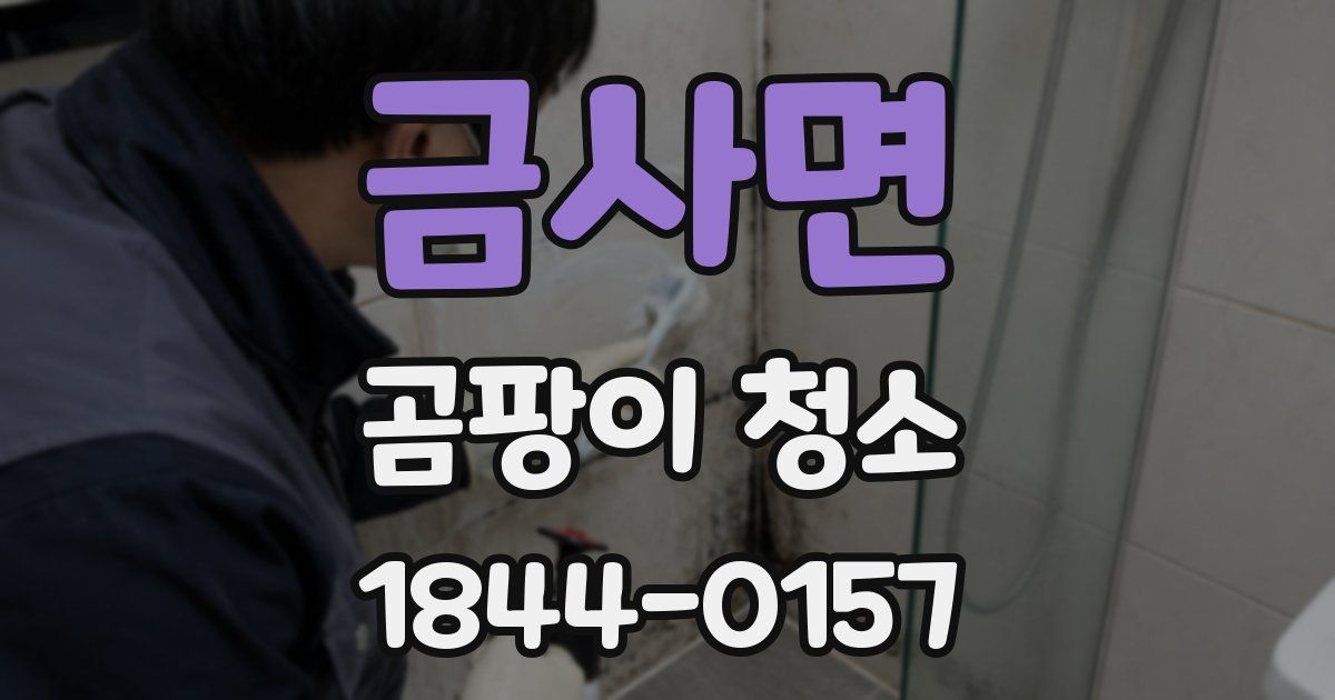 금사면 곰팡이 청소
