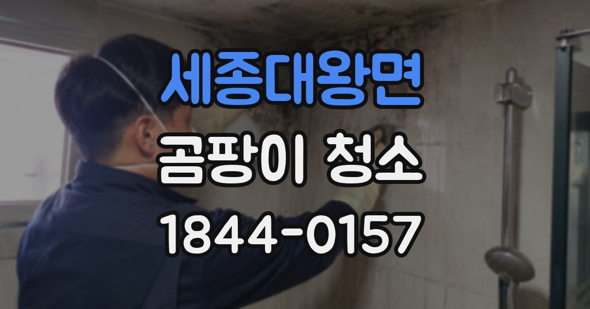 세종대왕면 곰팡이 청소