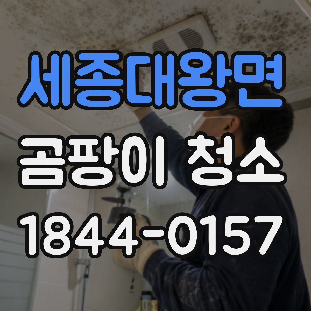 세종대왕면 곰팡이 청소