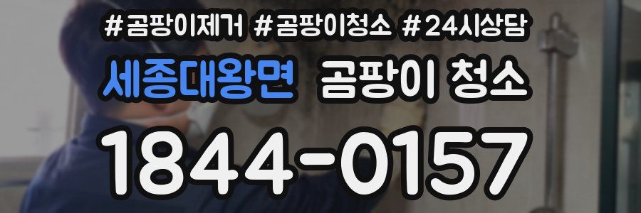세종대왕면 곰팡이 청소