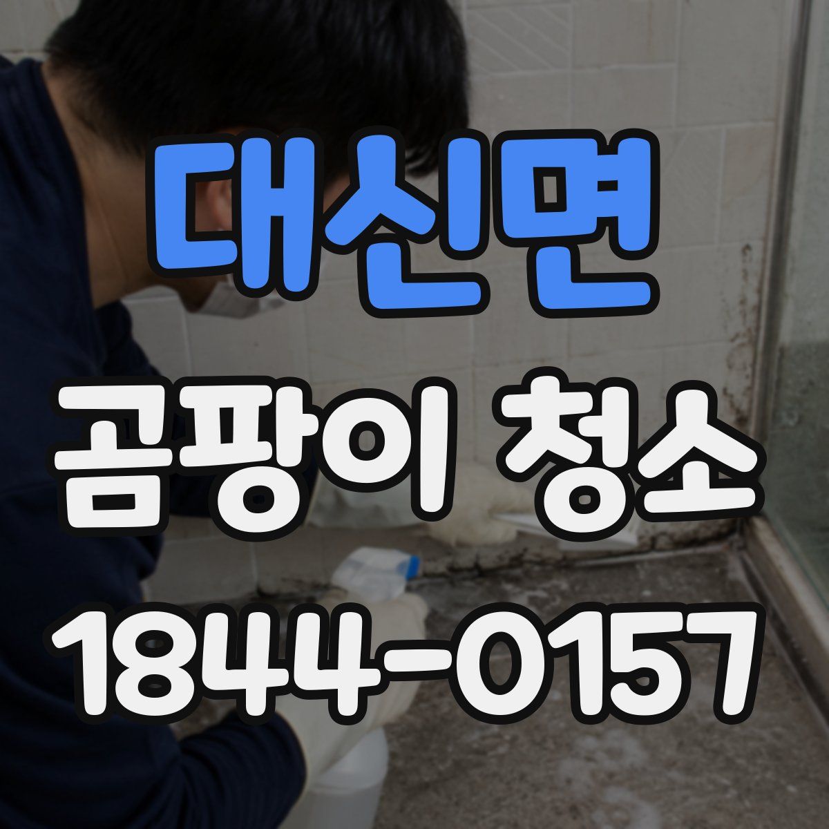 대신면 곰팡이 청소