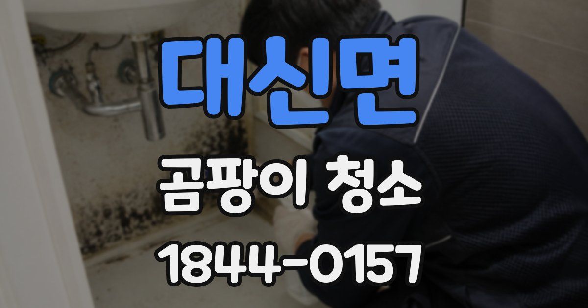 대신면 곰팡이 청소