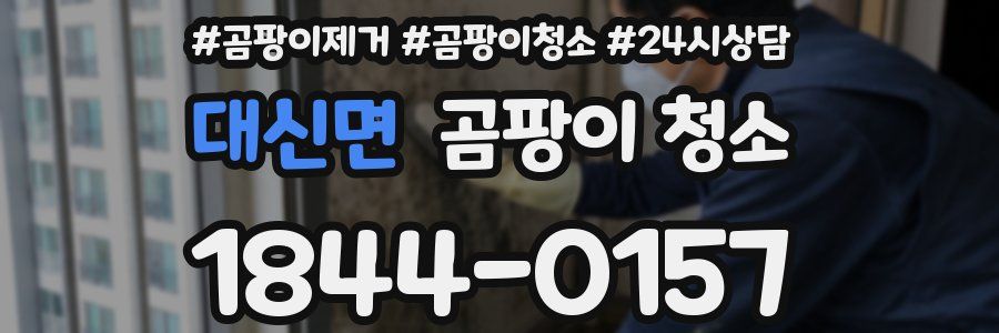 대신면 곰팡이 청소