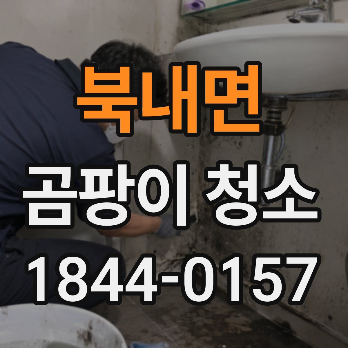 북내면 곰팡이 청소