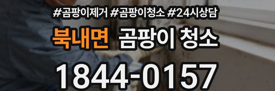 북내면 곰팡이 청소
