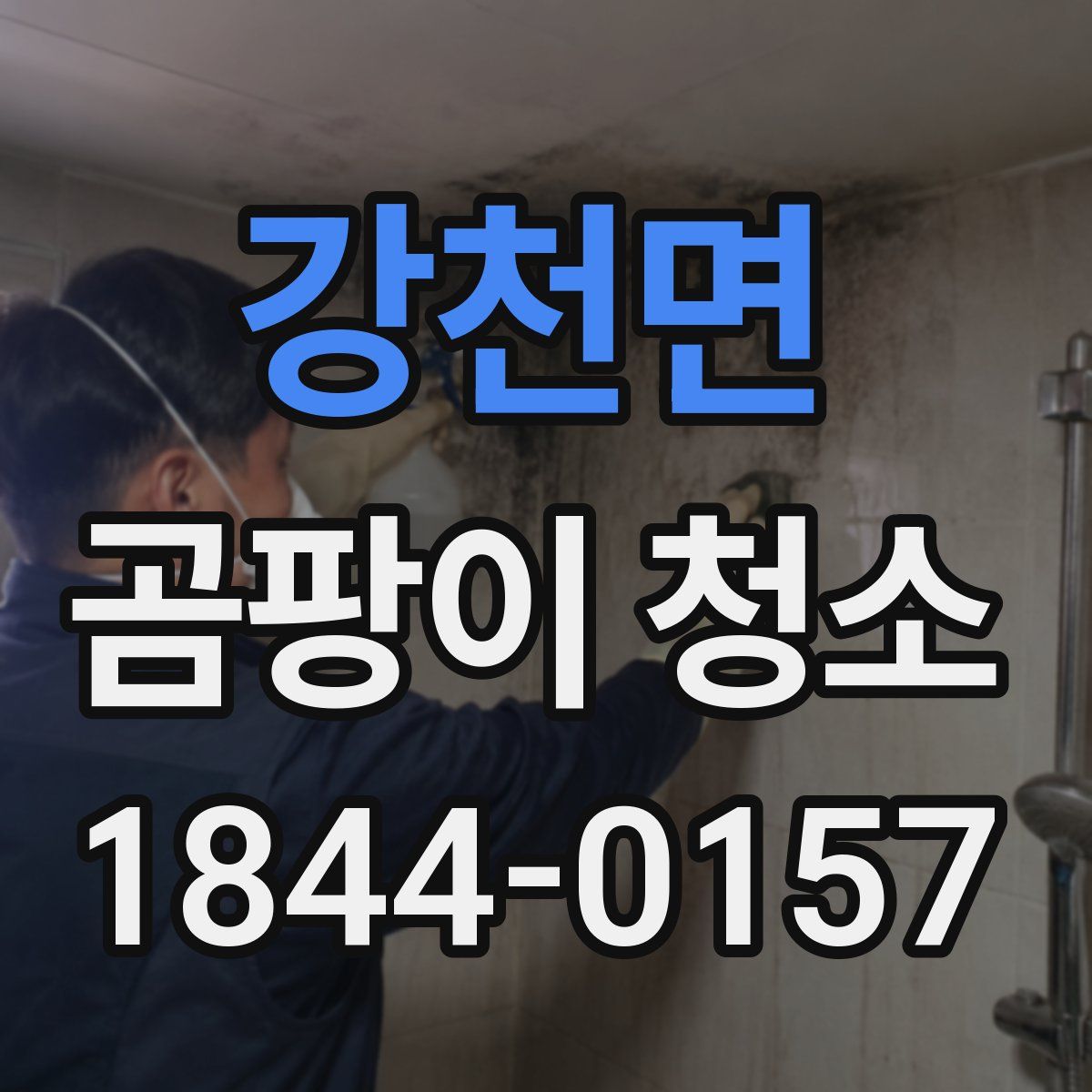 강천면 곰팡이 청소