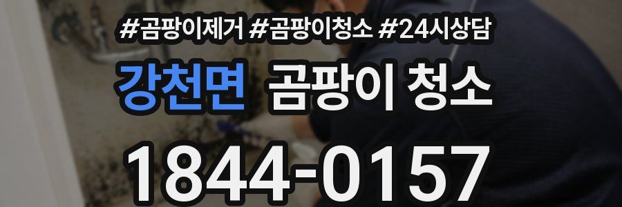 강천면 곰팡이 청소