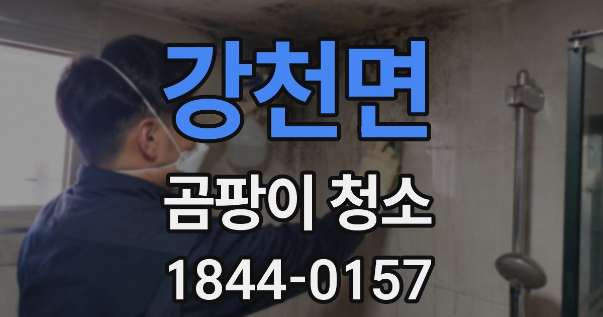 강천면 곰팡이 청소