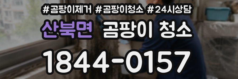 산북면 곰팡이 청소
