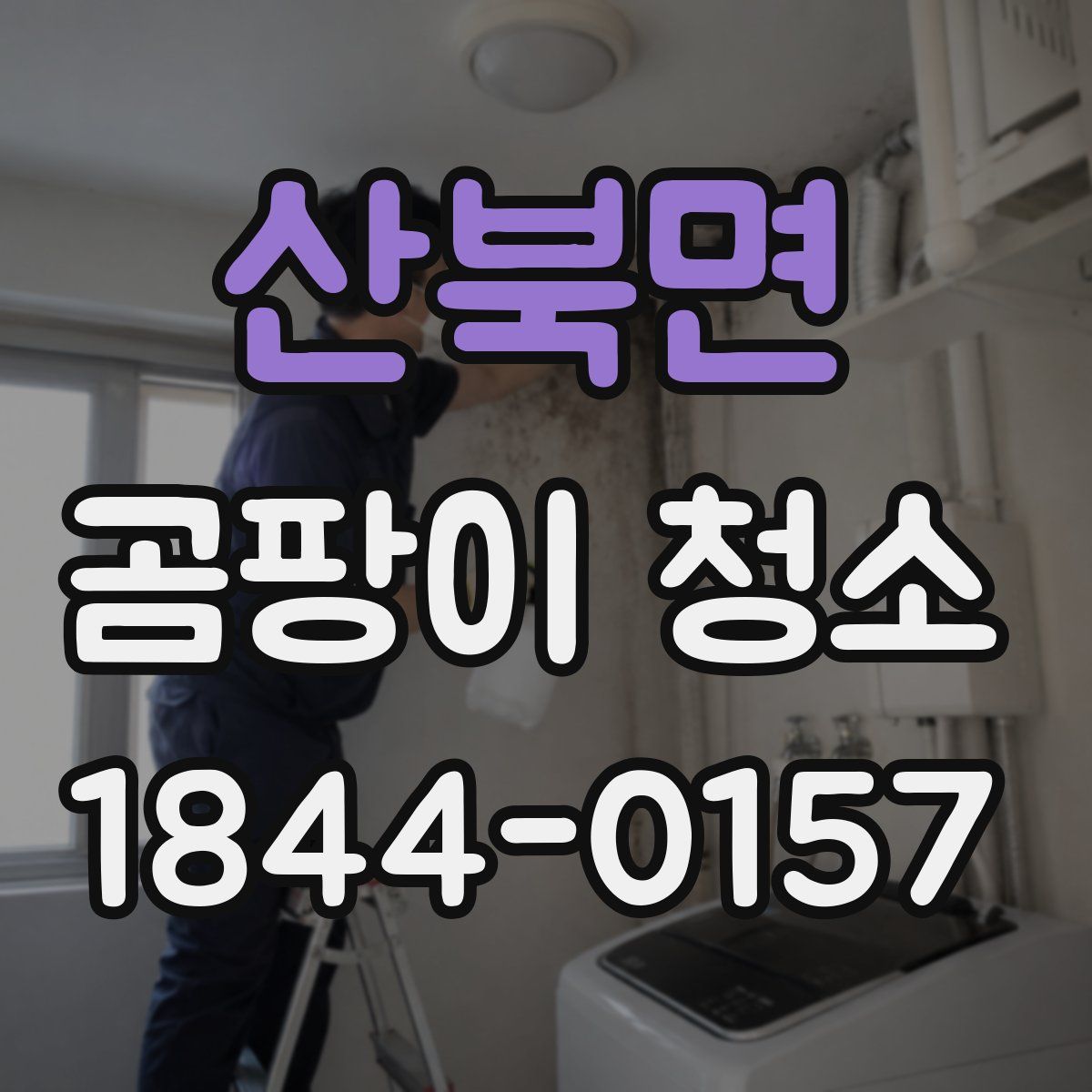 산북면 곰팡이 청소