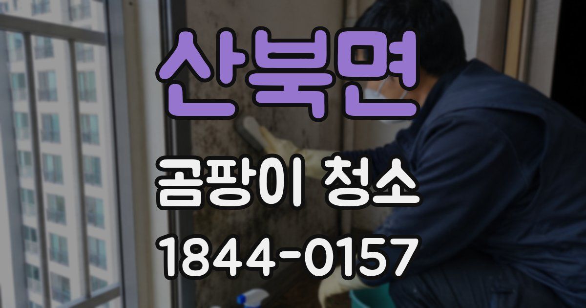 산북면 곰팡이 청소