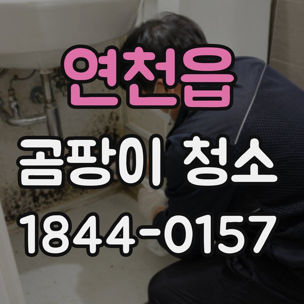 연천읍 곰팡이 청소 포자 확산을 막는 작업 동선과 환기 타이밍