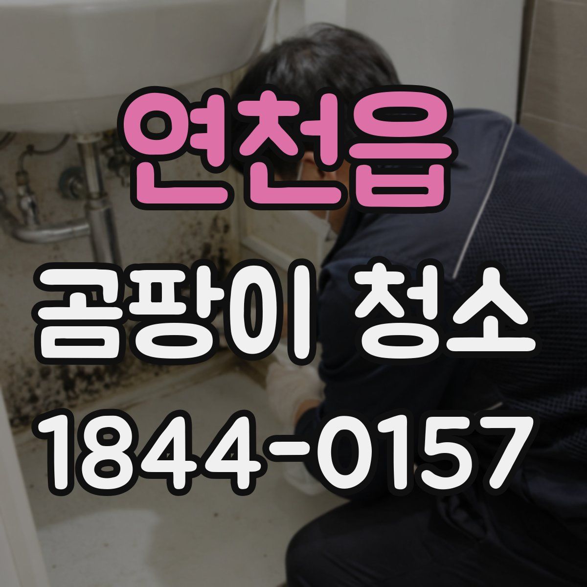 연천읍 곰팡이 청소