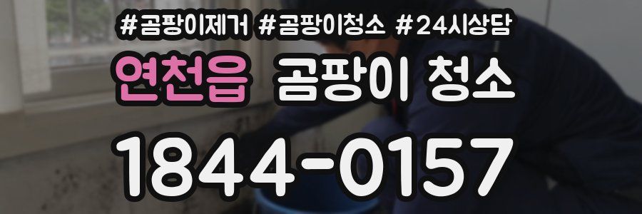 연천읍 곰팡이 청소