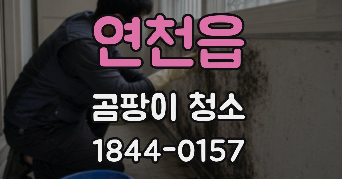 연천읍 곰팡이 청소