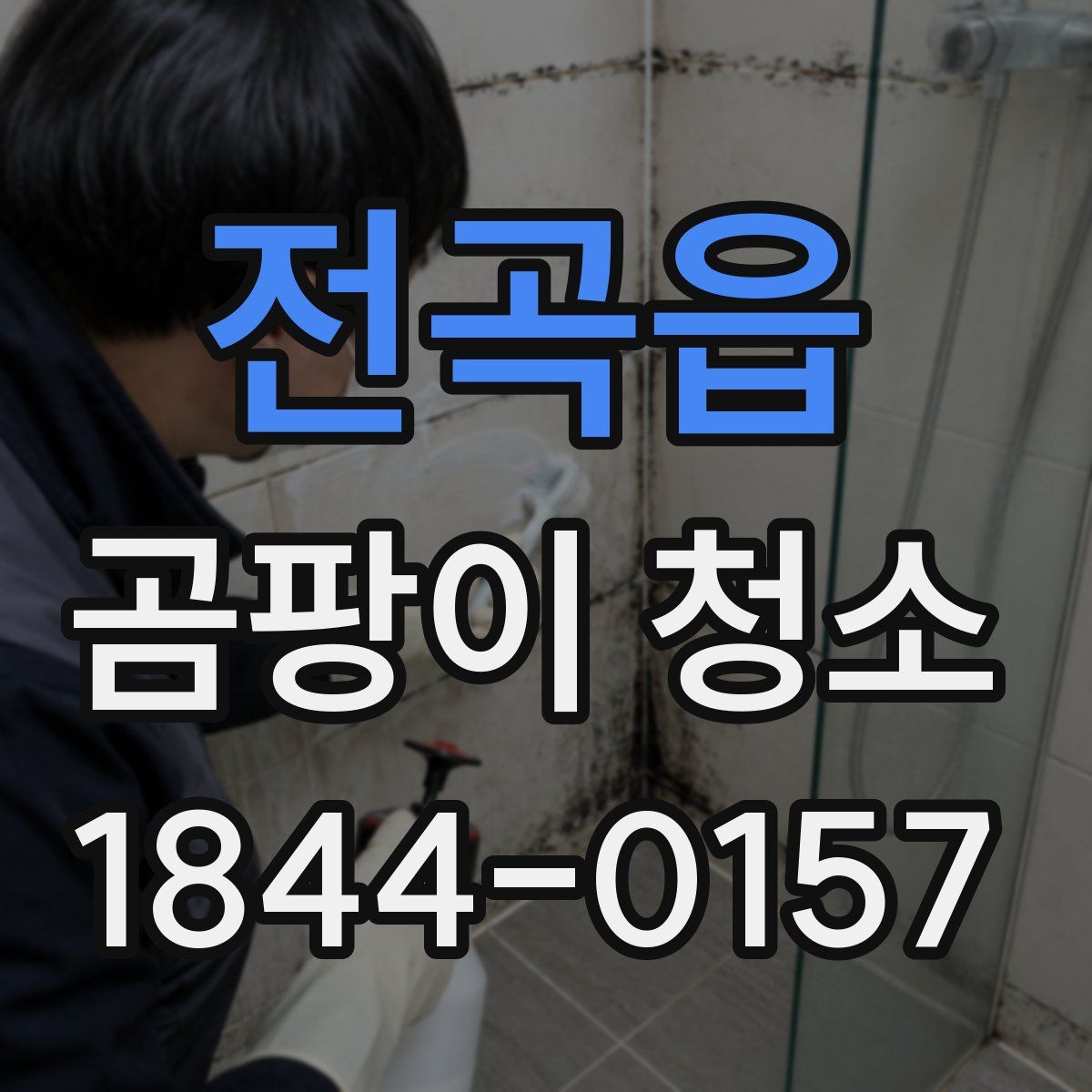 전곡읍 곰팡이 청소