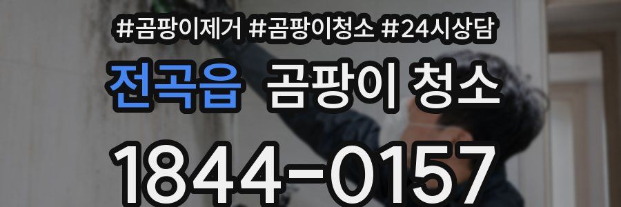 전곡읍 곰팡이 청소