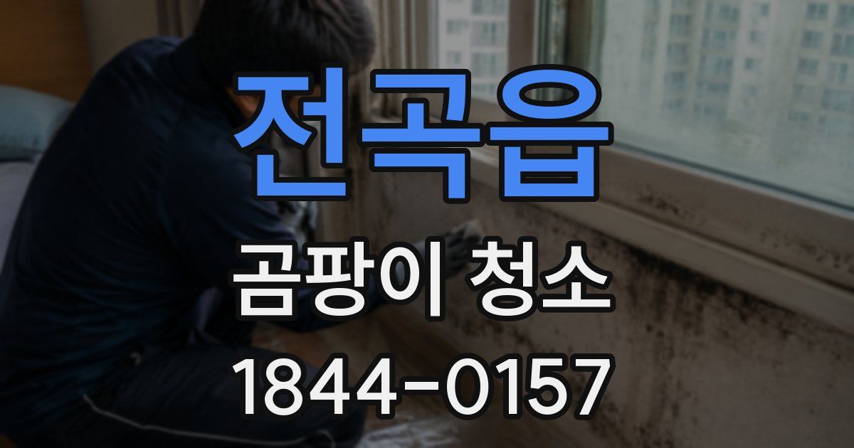 전곡읍 곰팡이 청소