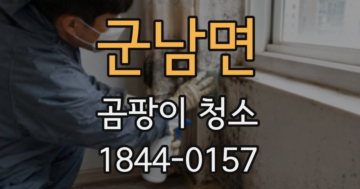 군남면 곰팡이 청소