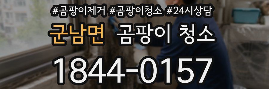 군남면 곰팡이 청소