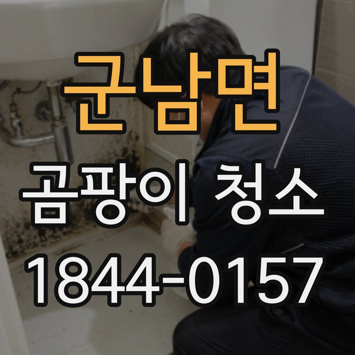 군남면 곰팡이 청소