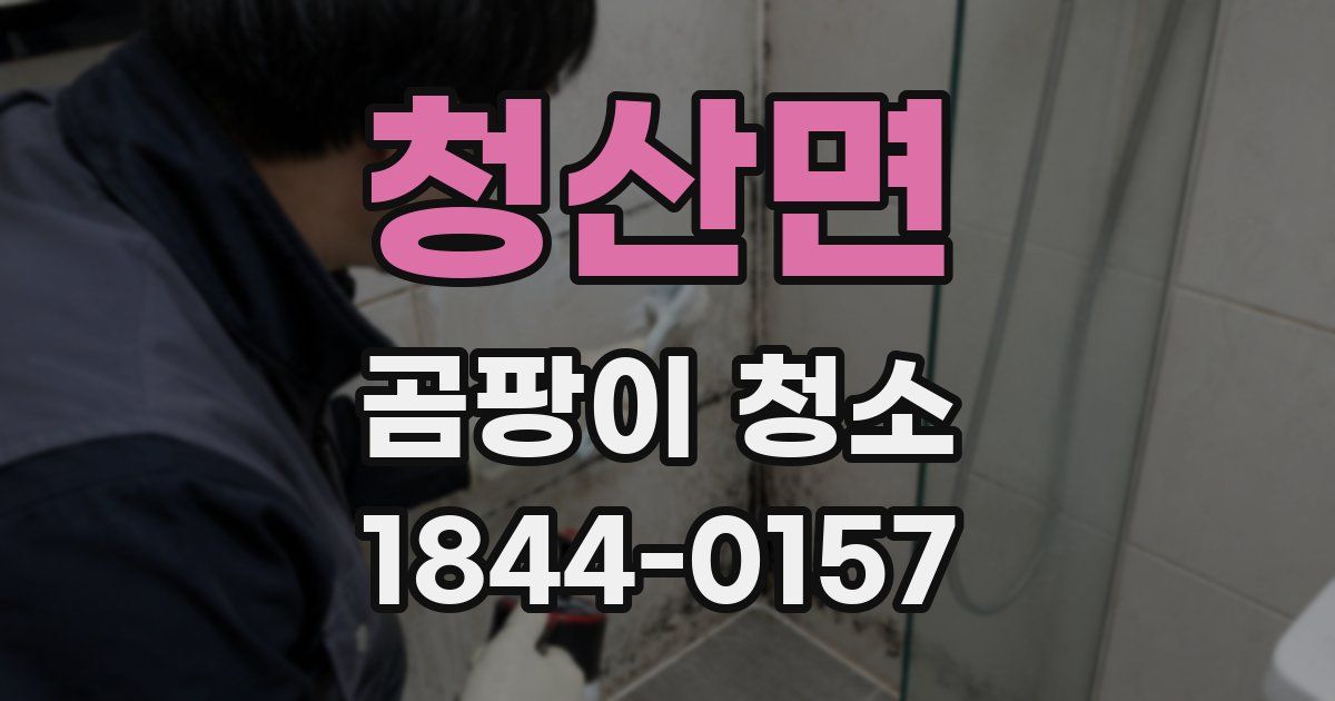 청산면 곰팡이 청소