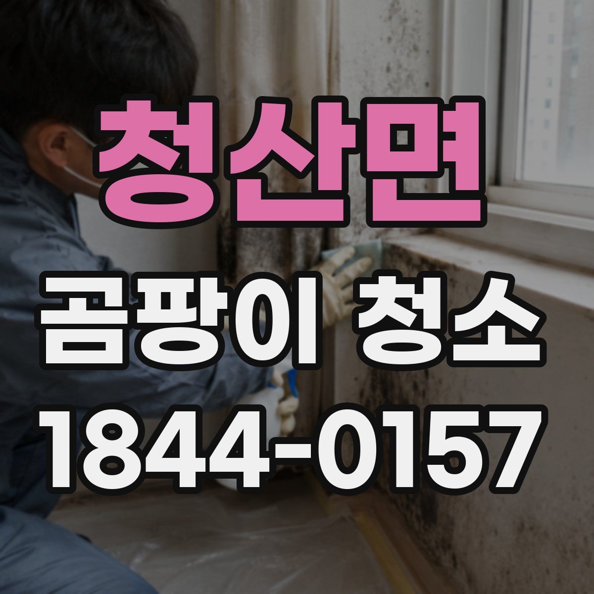 청산면 곰팡이 청소
