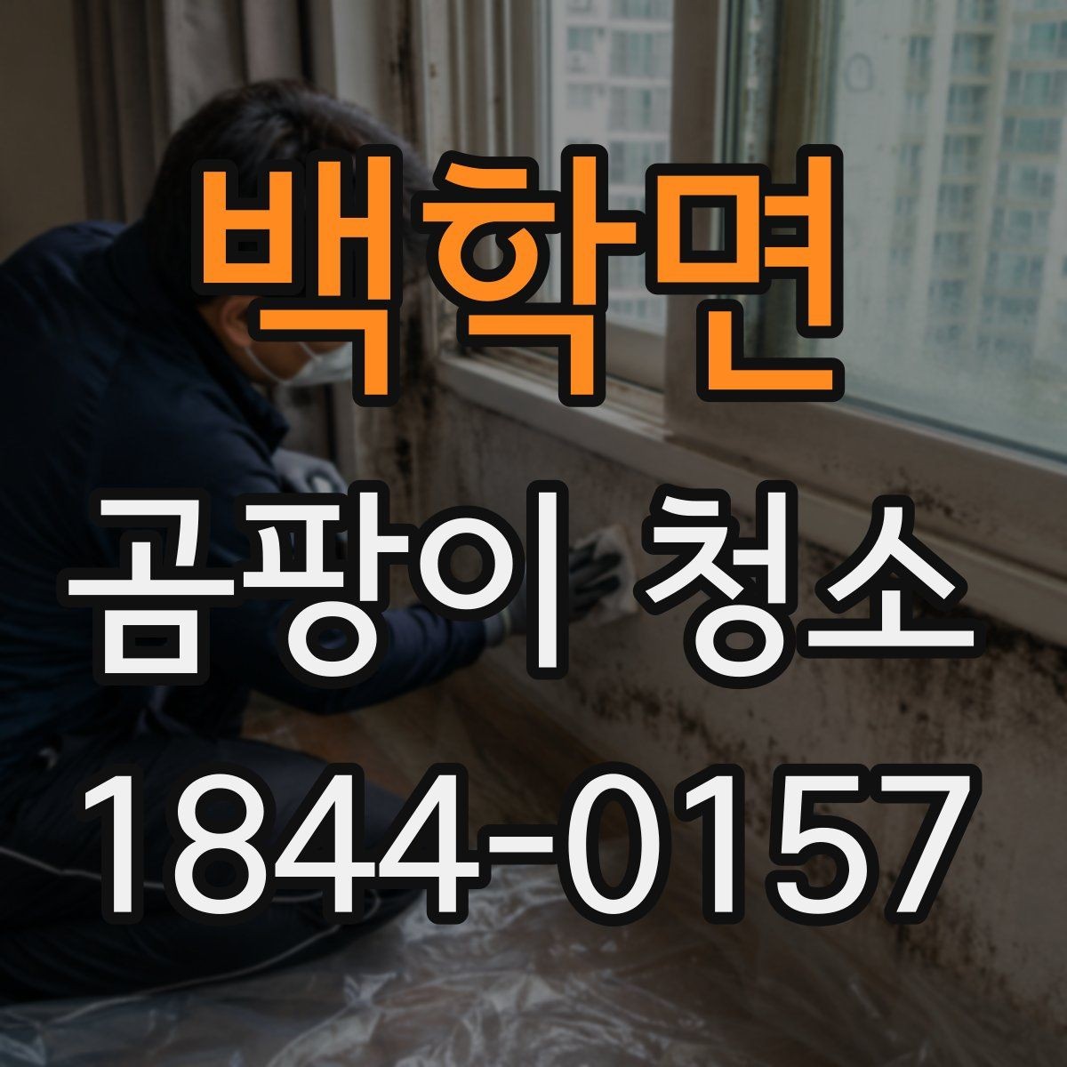 백학면 곰팡이 청소 베란다 창틀과 몰딩 사이를 함께 보는 이유