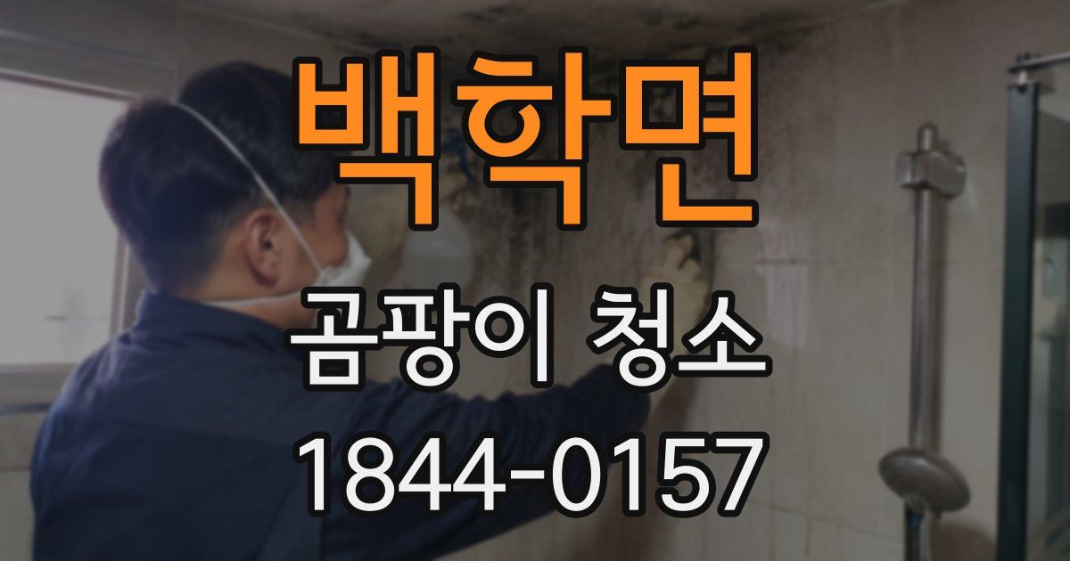 백학면 곰팡이 청소