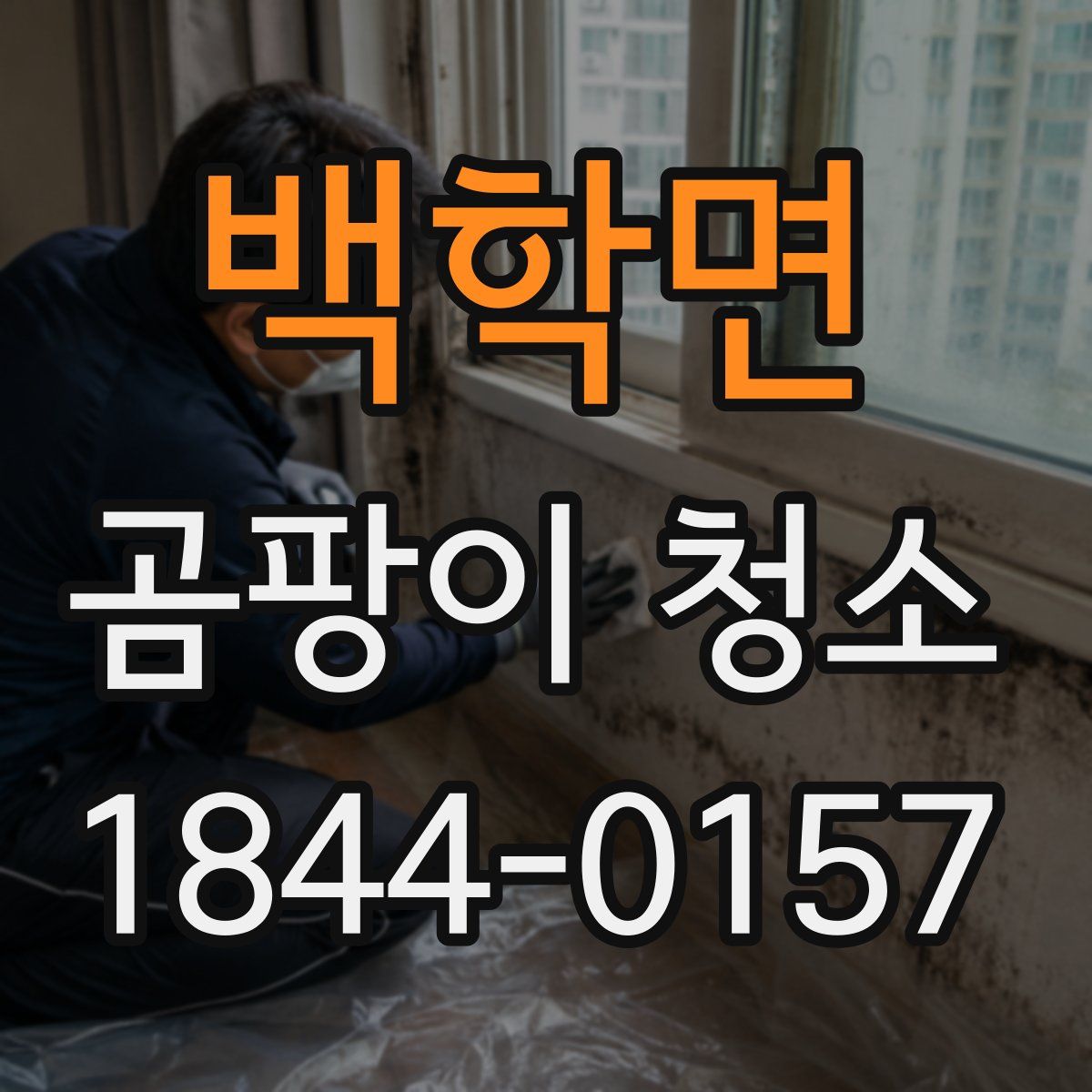 백학면 곰팡이 청소