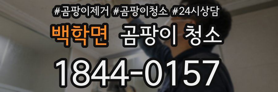 백학면 곰팡이 청소