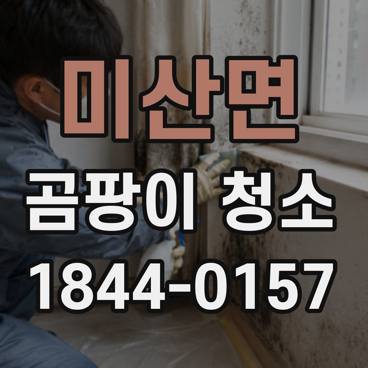 미산면 곰팡이 청소