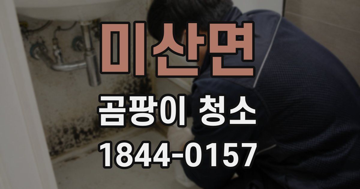 미산면 곰팡이 청소