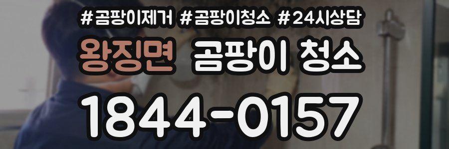 왕징면 곰팡이 청소