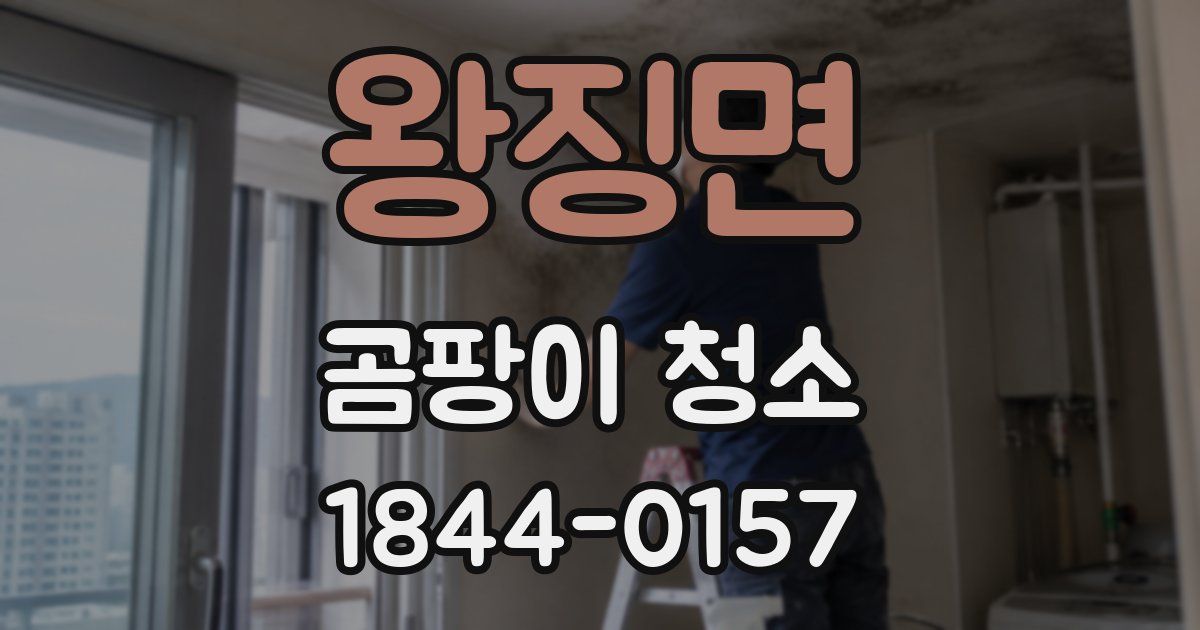 왕징면 곰팡이 청소