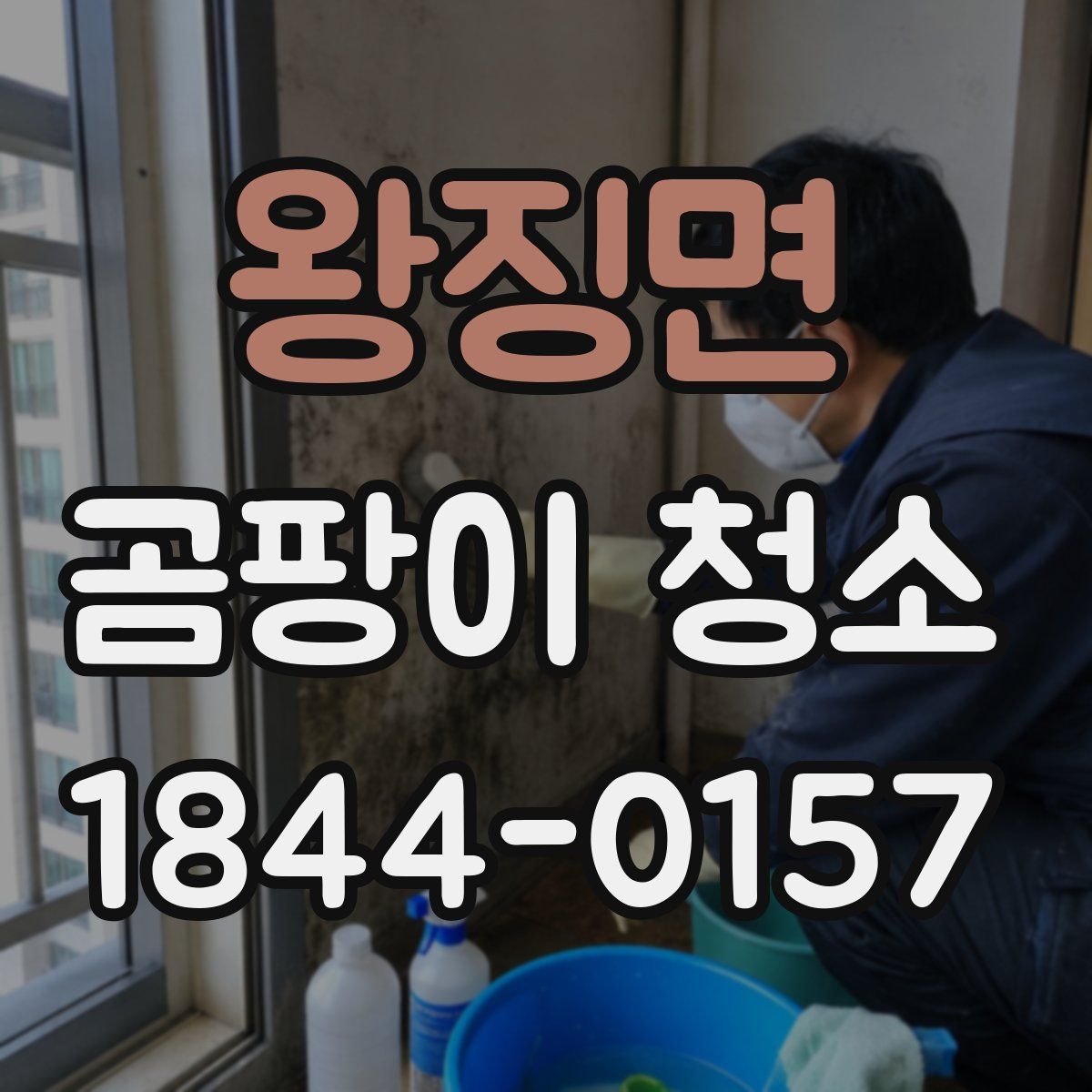 왕징면 곰팡이 청소