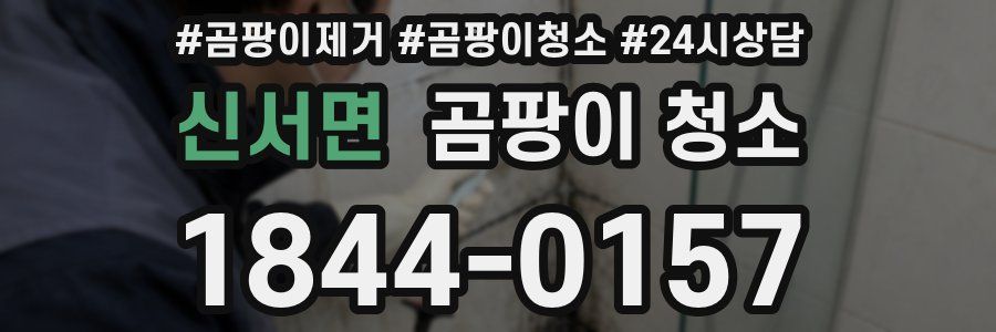 신서면 곰팡이 청소