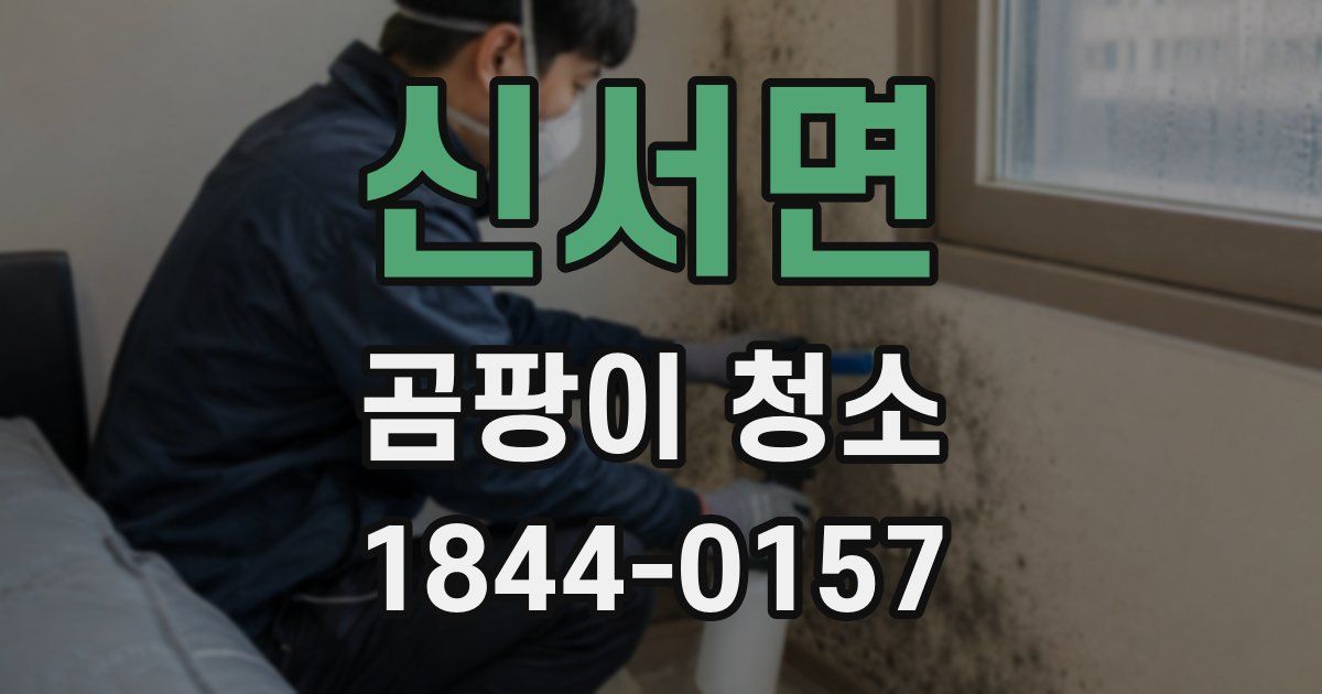 신서면 곰팡이 청소