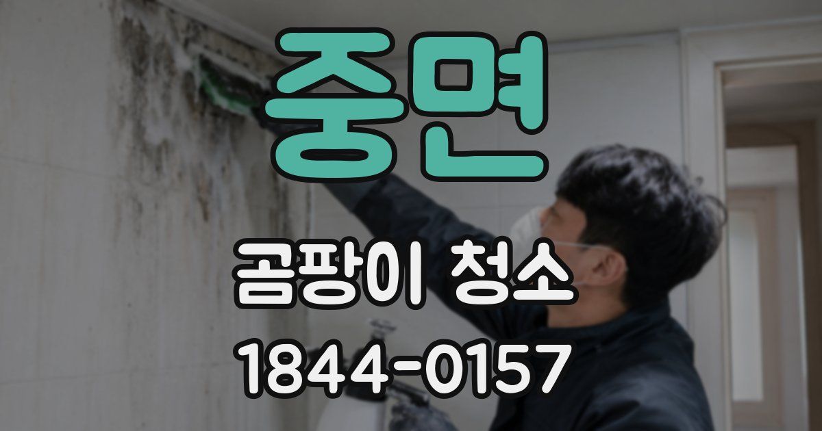 중면 곰팡이 청소