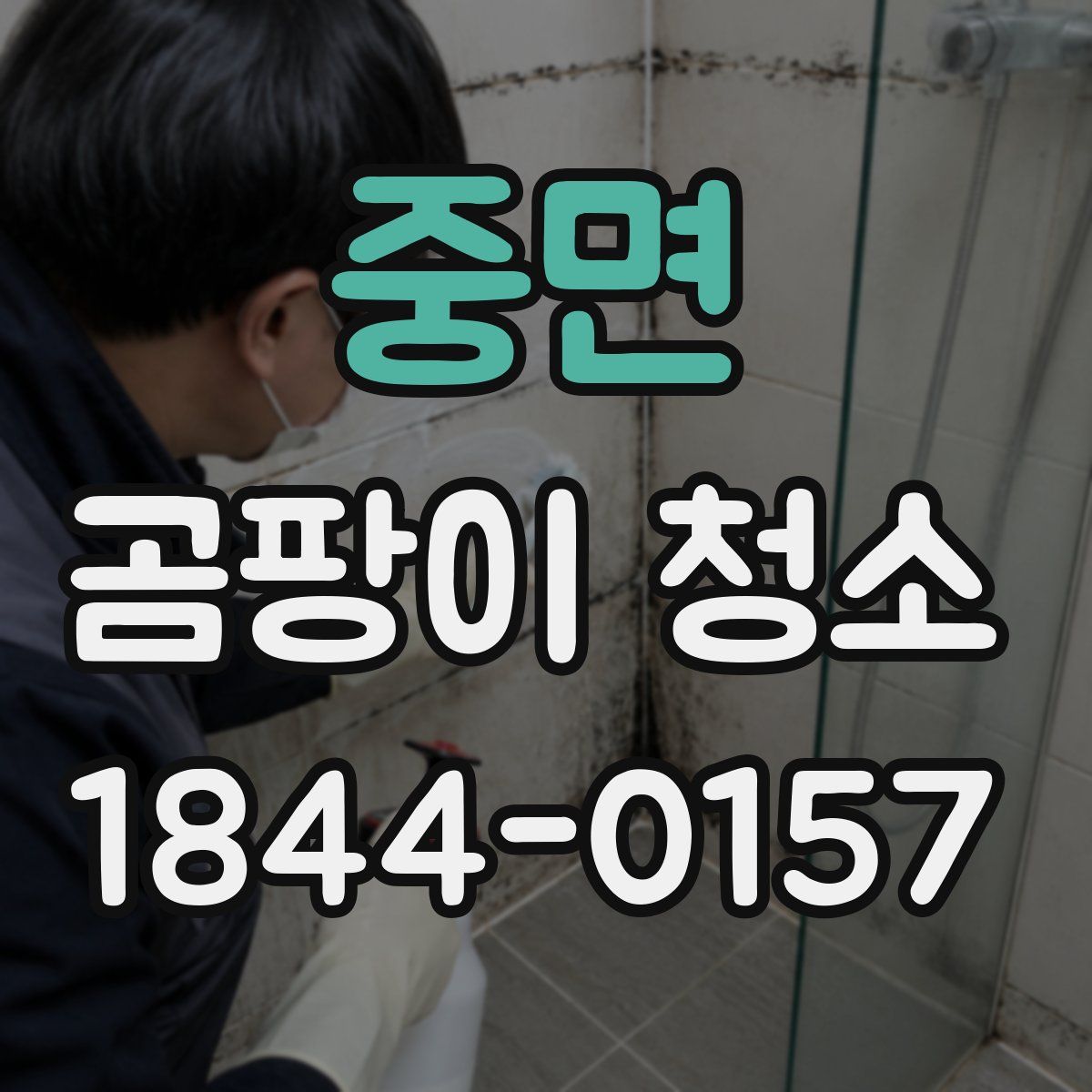 중면 곰팡이 청소