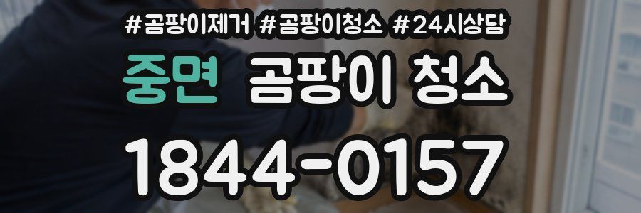 중면 곰팡이 청소